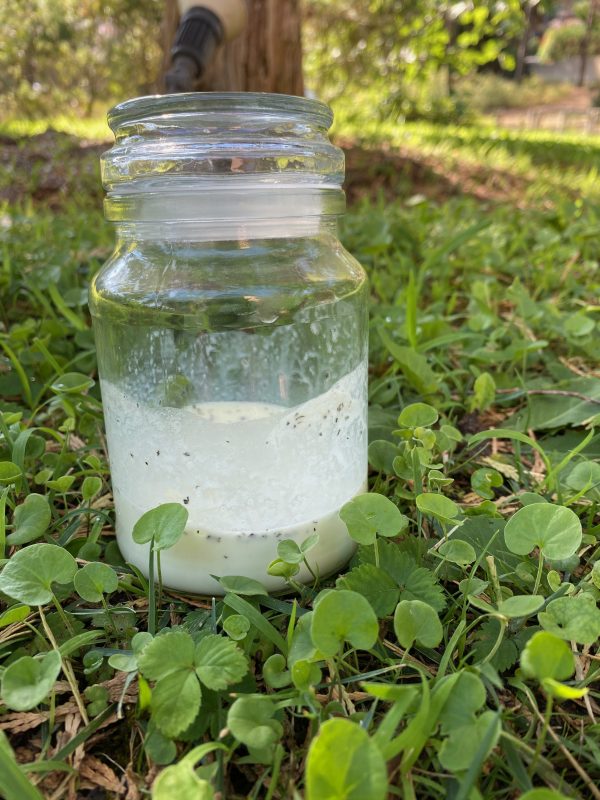 salad dressing με γιαούρτι βάζο με λευκή σος στο γρασίδι