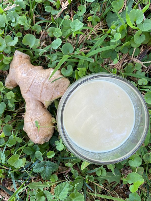 σος μουστάρδας με μέλι και τζίντζερ σος σε ποτηράκι, τζίντζερ πάνω στο γρασίδι