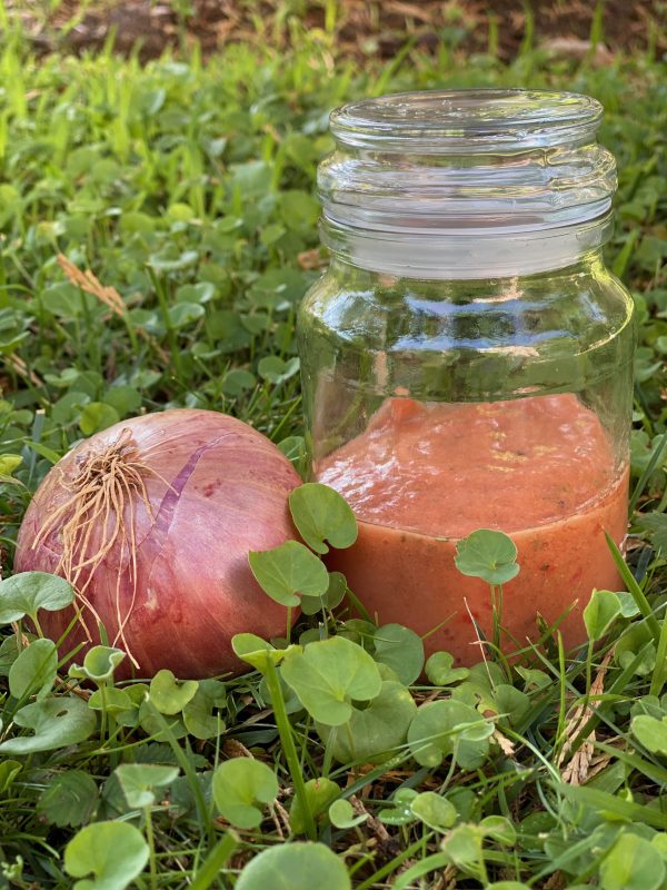 σος ντομάτας σος ντομάτας σε βαζάκι και κρεμμύδι πάνω στο γρασίδι