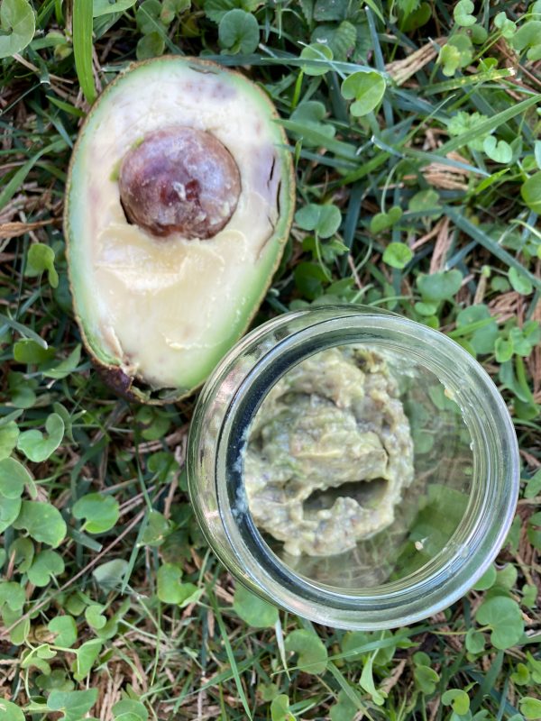 σος αβοκάντο σος αβοκάντο σε βαζάκι και αβοκάντο πάνω στο γρασίδι